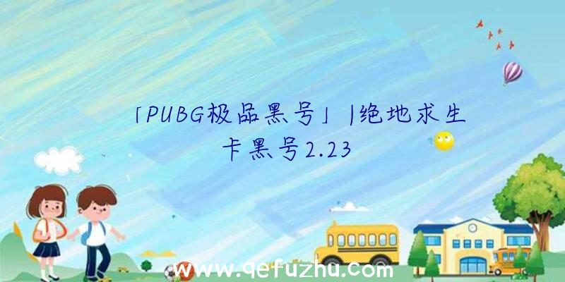 「PUBG极品黑号」|绝地求生卡黑号2.23